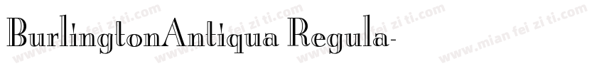 BurlingtonAntiqua Regula字体转换